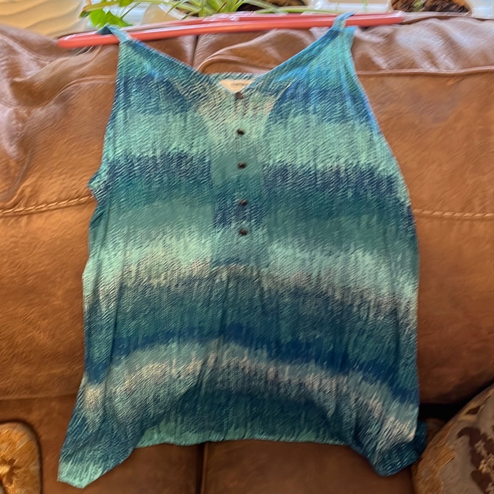 2 spaghetti strap tank tops for summer  Gently used.